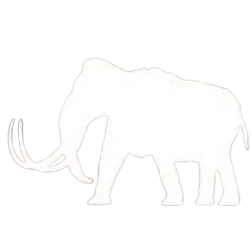 mastodon moving