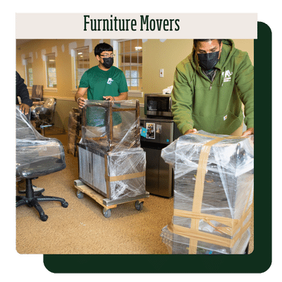 Furniture Movers