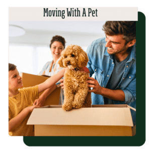 Moving With A Pet